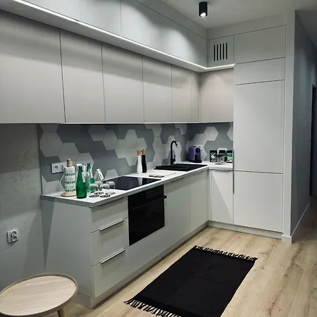 Parking & Tauron Arena Apartamento